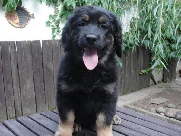 15 wskazówek dotyczących relaksującej edukacji