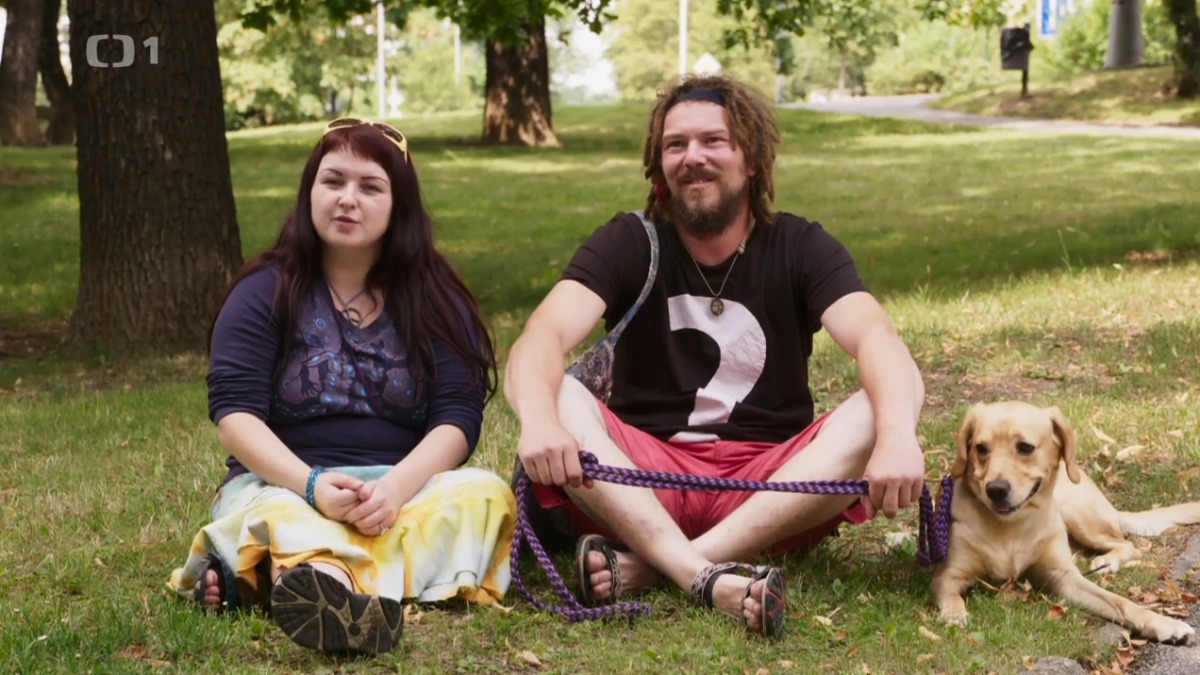 Wskazówka dotycząca programu telewizyjnego: Kot nie jest psem