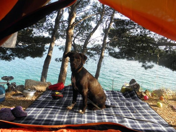 Choroby przenoszone przez komary