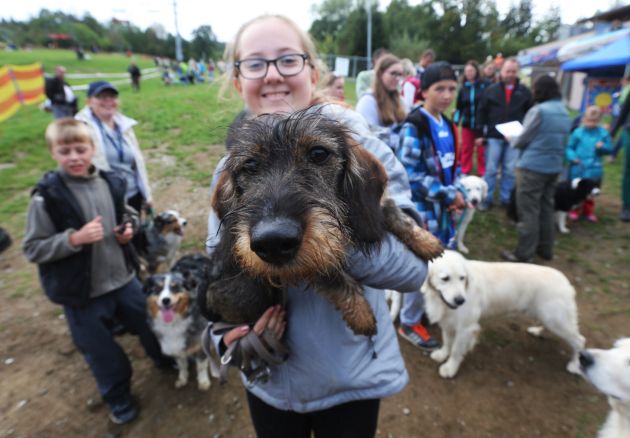 Monínec znów będzie należeć do psów
