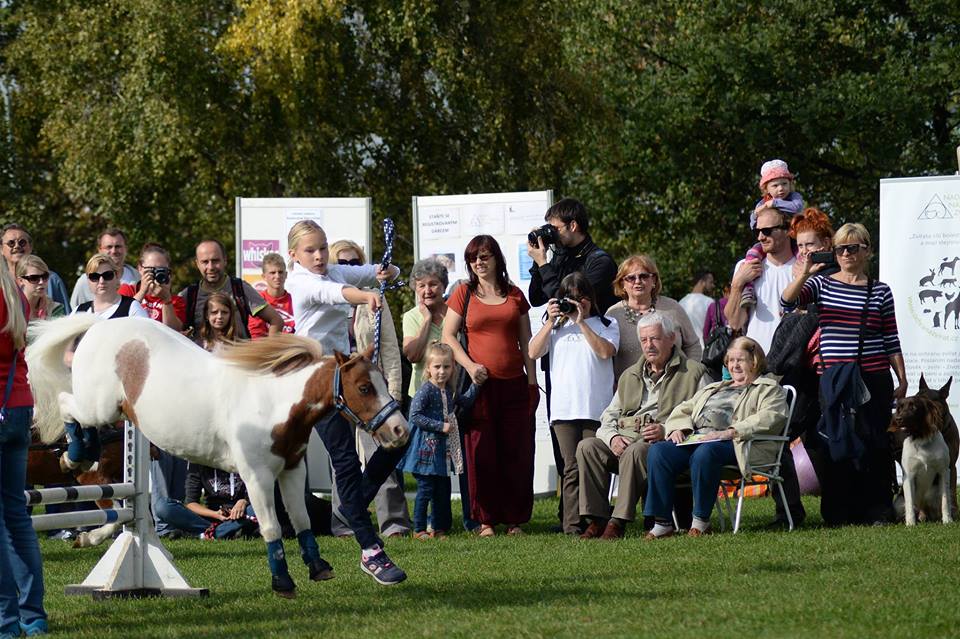 Zaproszenie na Światowy Dzień Zwierząt 2017