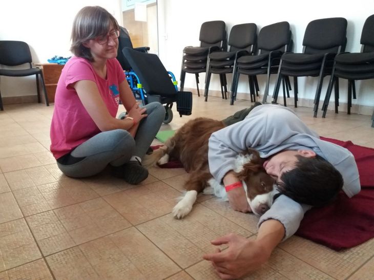 Decyzja Martina dotycząca psa asystującego