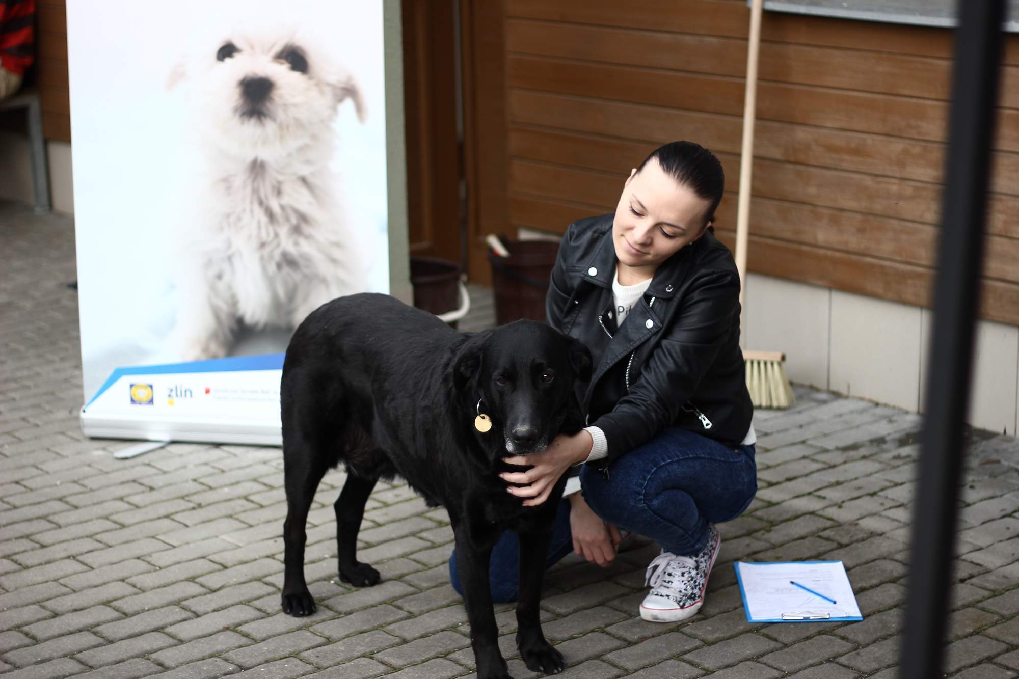 Przyjdź z Silent Face, aby powitać wiosnę w schronisku dla zwierząt Zlín-Vršava