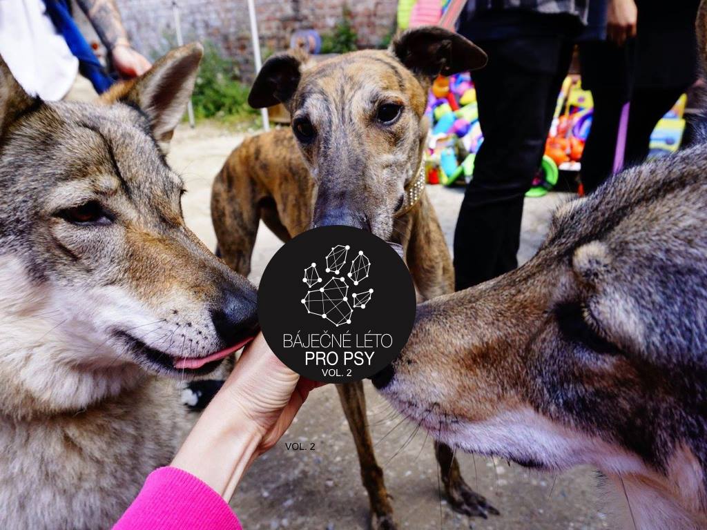 Zaproszenie: Cudowne lato dla psów vol. 2