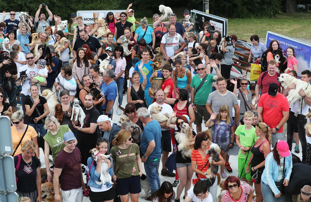 Zaproszenie: Monínec należy do psów po raz szósty