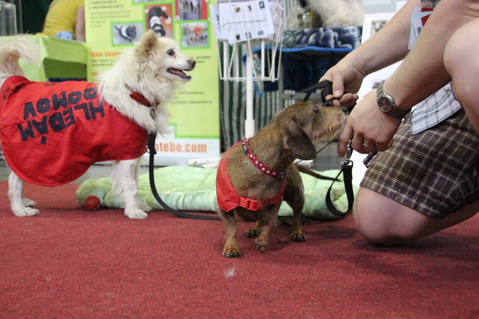 Zaproszenie: WORLD WORLD DAY 2018