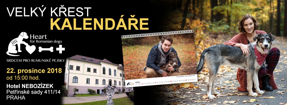 Uruchomienie kalendarza, który ma pomóc rumuńskim psom
