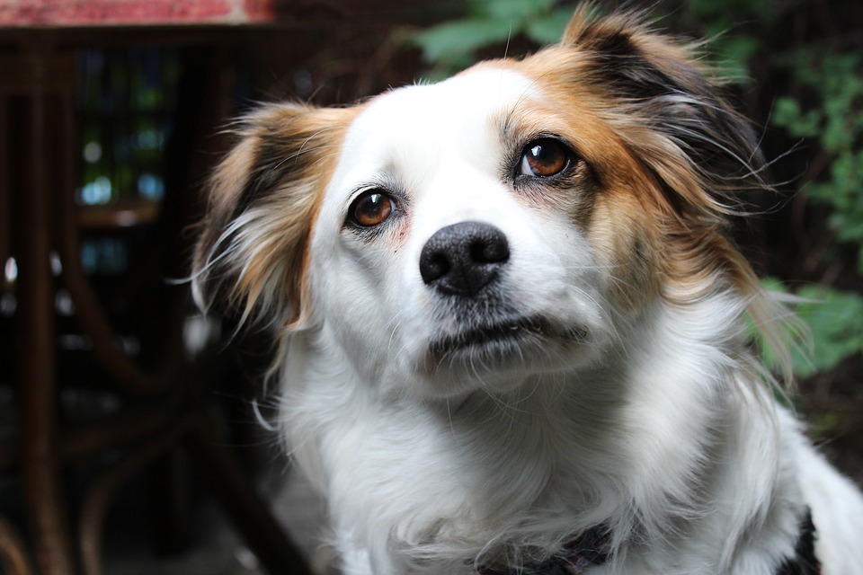 Stosowanie kropli do oczu