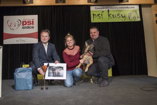 Rozpoczyna się 9 rok badania Brave Dog Heart Heart