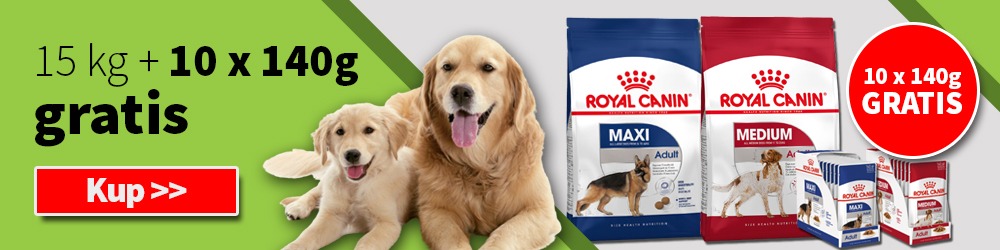 Saszetki gratis przy zakupie karmy Royal Canin
