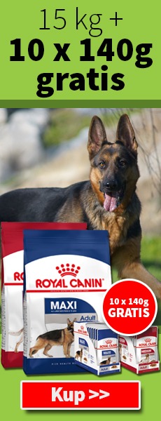 Saszetki gratis do zakupu karmy Royal Canin