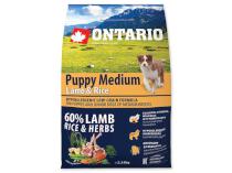 ONTARIO dog PUPPY MEDIUM lamb