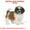 Royal Canin Shih Tzu Puppy - Granulki dla szczeniaka Shih Tzu