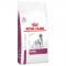 Royal Canin Veterinary Diet Dog RENAL