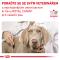 RC Veterinary Health Nutrition Dog URINARY S/O Ageing 7+