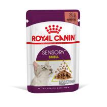 Royal Canin Sensory Smell v omáčce 12 x 85g