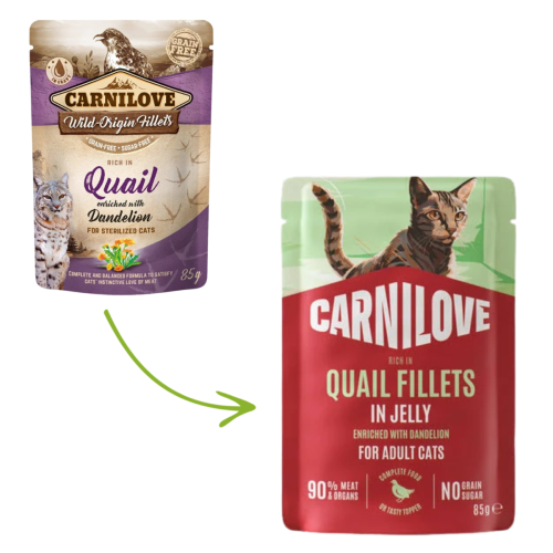 Carnilove Cat Pouch in Jelly 85g - Quail with Dandelion