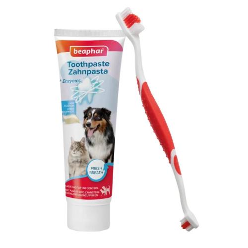Zestaw do pielęgnacji zębów Beaphar – 100g