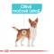 Royal Canin Urinary Care Dog Loaf - kapsička s paštikou pro psy s ledvinovými problémy