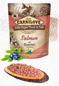CARNILOVE dog pouch PUPPY salmon/blueberries