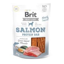 BRIT meaty jerky  SALMON protein bar