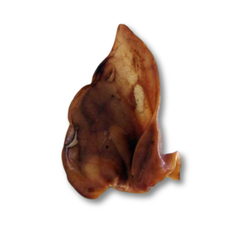 Suszone ucho wieprzowe - 1 szt