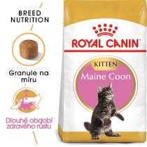 Royal Canin cat   KITTEN MAIN COON
