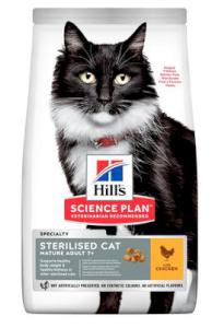 Hills cat   MATURE/sterilised 