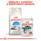 Royal Canin cat   INDOOR + 7
