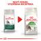 Royal Canin cat   OUTDOOR + 7