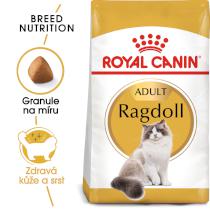 RC cat  RAGDOLL