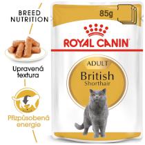 Royal Canin British Shorthair Gravy - kieszeń dla brytyjskich kotów krótkowłosych w soku
