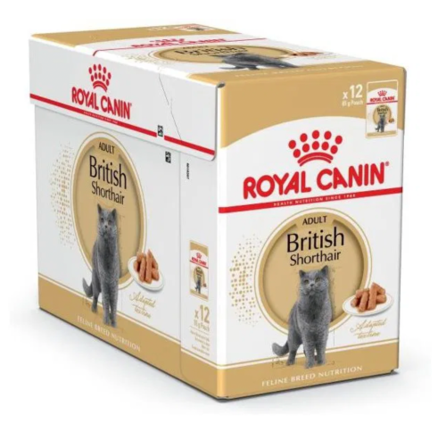 Royal Canin Kot Brytyjski Krótkowłosy - 12x85g