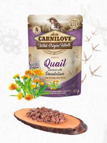 CARNILOVE cat  pouch STERILISED  QUAIL/dandelion