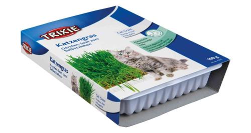 Trixie Trawa dla kotów w misce - 100g