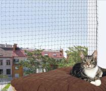 Ochrona sieci dla kotów