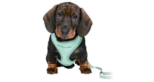 Kamizelka Trixie i smycz dla szczeniąt - miętowa