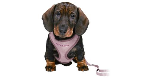 Kamizelka Trixie i smycz dla szczeniąt - fioletowa