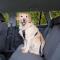Pasy bezpieczeństwa dla psa z szelkami (trixie) 