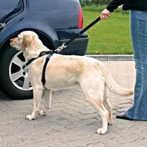 Pasy bezpieczeństwa dla psa z szelkami (trixie) 